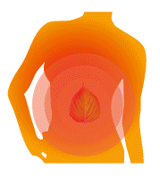 �G�S�}�R�Ĕ��l