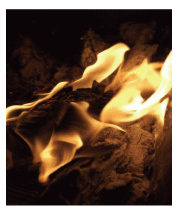 �G�S�}�R�Ĕ��l