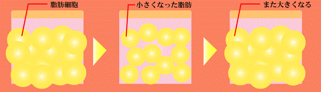 エゴマ燃焼美人