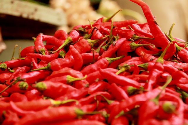 �G�S�}�R�Ĕ��l